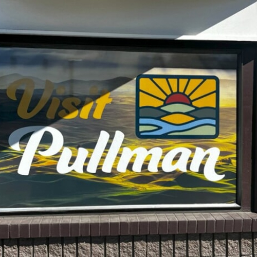 Window Graphics
